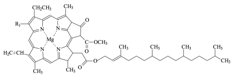 Klorofyll A