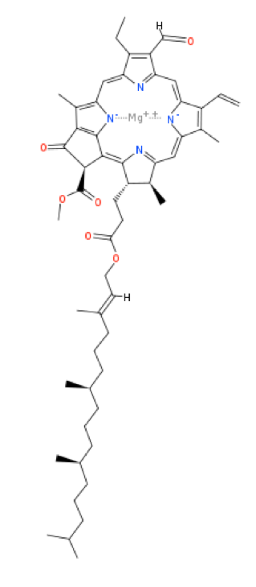 Klorofyll b med aldehydgrupp