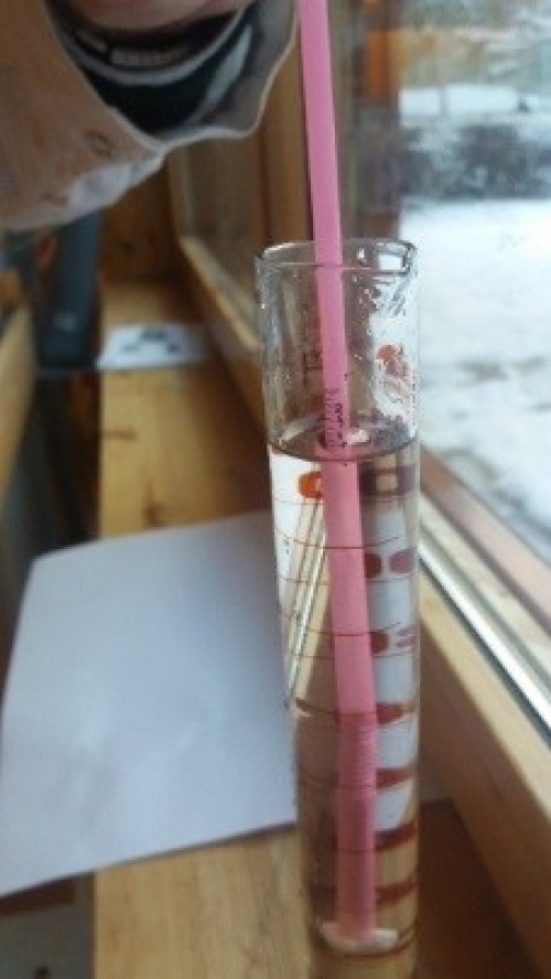 Hydrometer