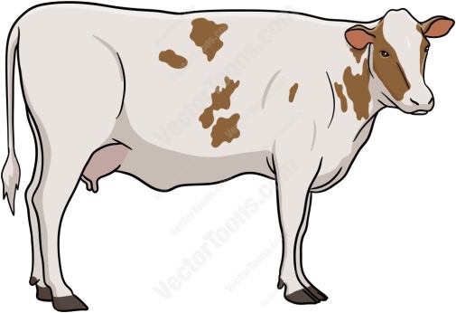 Vad får ett protein att koagulera/denaturera- bild på en ko