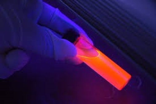 Luminol